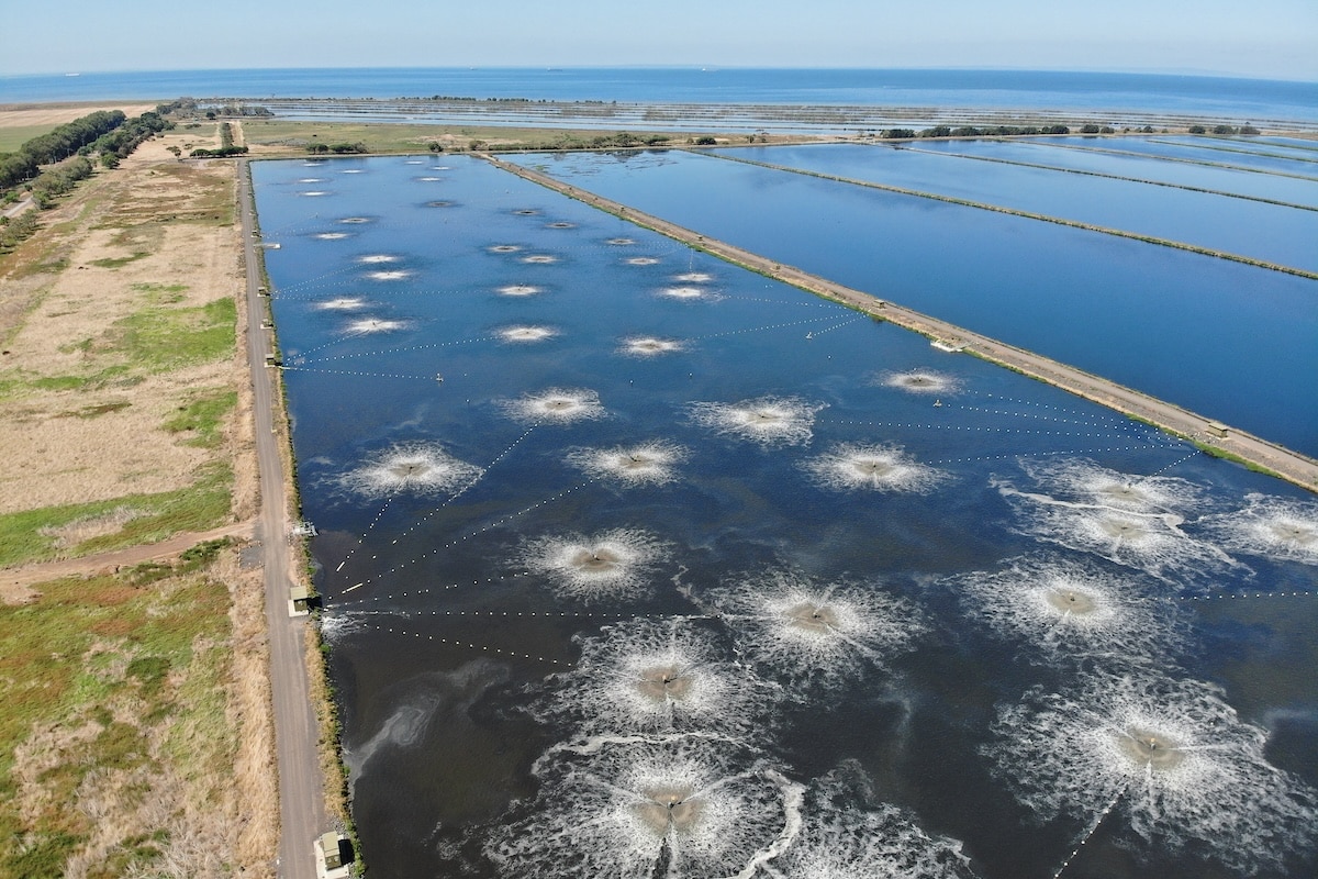 Pioneering sustainable wastewater treatment - Pump Industry Magazine
