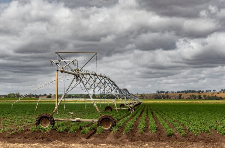 Irrigation Precinct