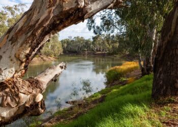 Riverina Water