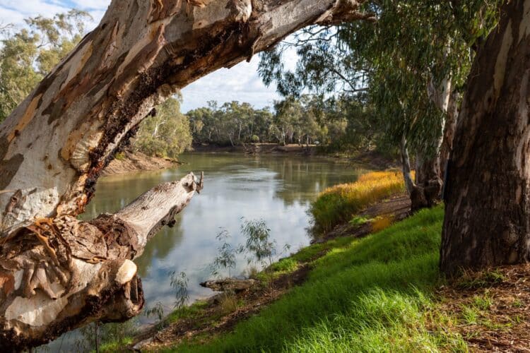 Riverina Water